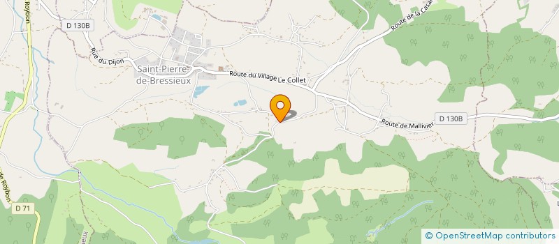 localisation de l'entreprise TRANSPORTS RUDAZ à SAINT-PIERRE-DE-BRESSIEUX