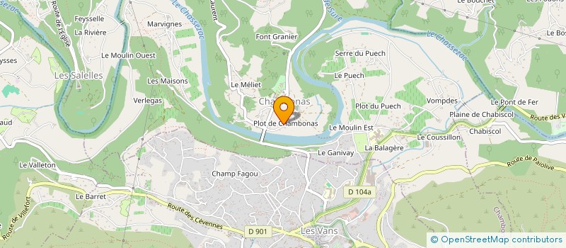 localisation de l'entreprise TRANSPORTS RV SERVICES  CHAMBONAS