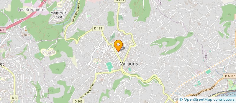 localisation de l'entreprise TRANSPORTS SERVICES PROVENCE à VALLAURIS