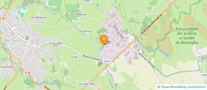 localisation de l'entreprise TRANSTELWEB  MORNANT