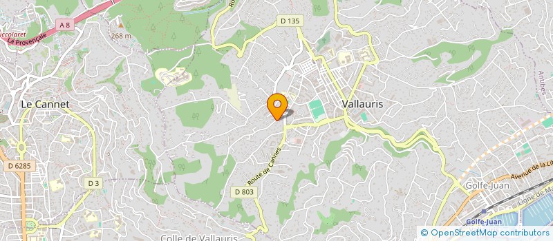 localisation de l'entreprise TRAQUEUR DE FUITE PEINTURE MAINTENANCE SELLERIE à VERNEUIL-SUR-VIENNE