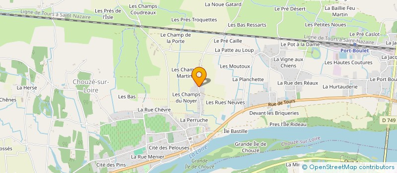 localisation de l'entreprise TRAVAUX AGRICOLES DAVID  CHOUZE-SUR-LOIRE