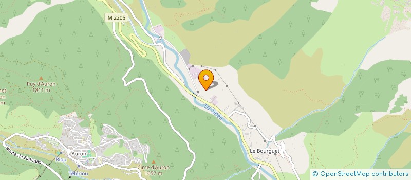 localisation de l'entreprise TRAVAUX PUBLICS DES VALLEES NICOISES  SAINT-ETIENNE-DE-TINEE