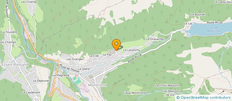 localisation de l'entreprise TREELINE CHALETS  MONTRIOND