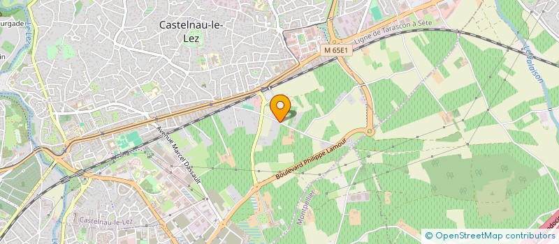 localisation de l'entreprise TRIADE AVENIR SUD à CASTELNAU-LE-LEZ