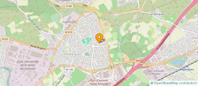 localisation de l'entreprise TRIBAL TOWN à VENDARGUES