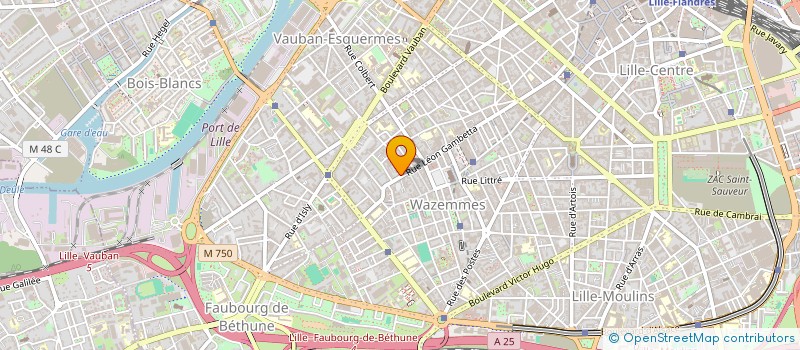 localisation de l'entreprise TRIBU LILLE à LILLE