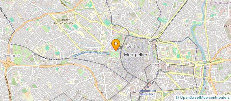 localisation de l'entreprise TRIBU TAM-TAM à MONTPELLIER