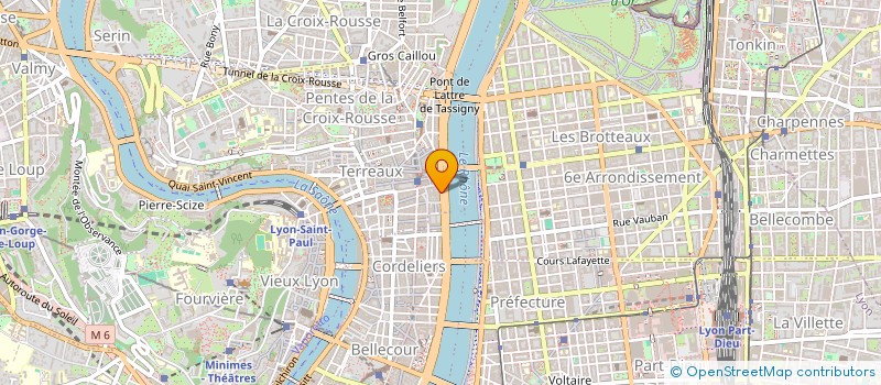 localisation de l'entreprise TRIELEN à LYON