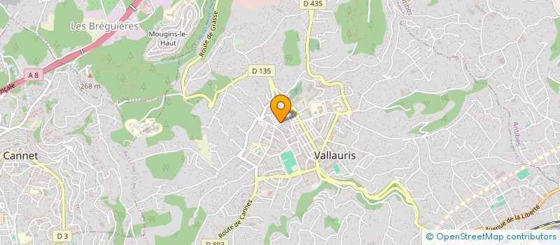 localisation de l'entreprise TRIOMPHE SERVICES à VALLAURIS