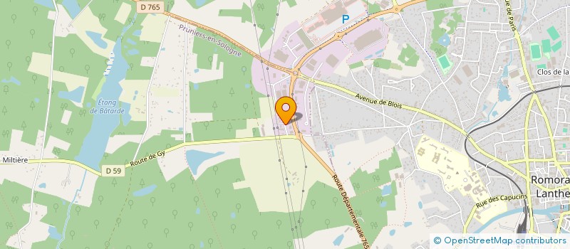 localisation de l'entreprise TRIPAULT IMMO  PRUNIERS-EN-SOLOGNE