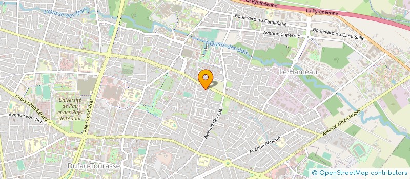localisation de l'entreprise TRISOMIE 21 DES PYRENEES ATLANTIQUES GROUPE D ETUDES POUR L INSERTION SOCIALE DES PERSONNES PORTEUSES DE TRISOMIE 21 à PAU