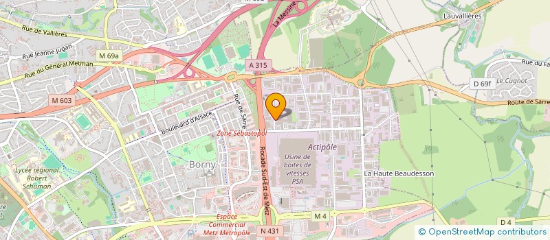 localisation de l'entreprise TRISOMIE 21 MOSELLE à METZ
