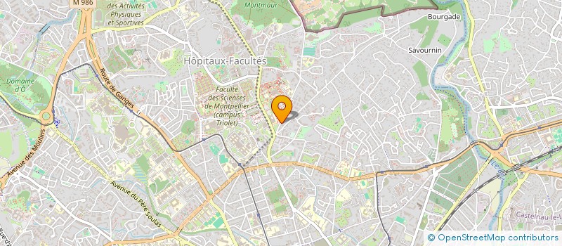 localisation de l'entreprise TRITON  MONTPELLIER