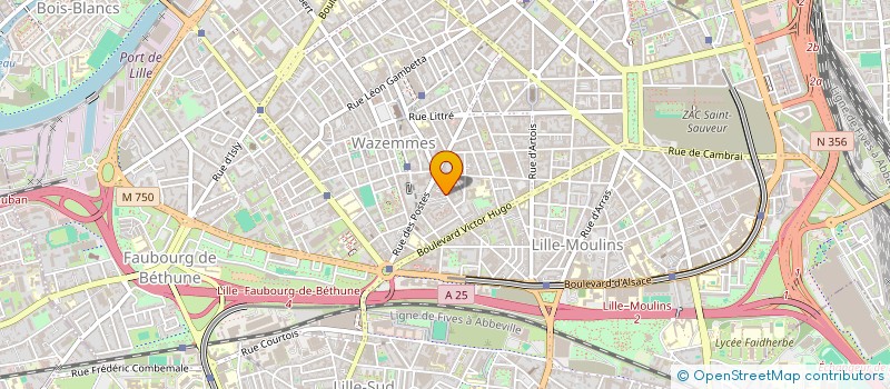 localisation de l'entreprise TROISIEME MONDE à LILLE