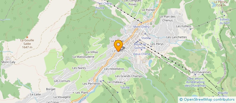 localisation de l'entreprise TROMBERT IMMOBILIER  LES GETS