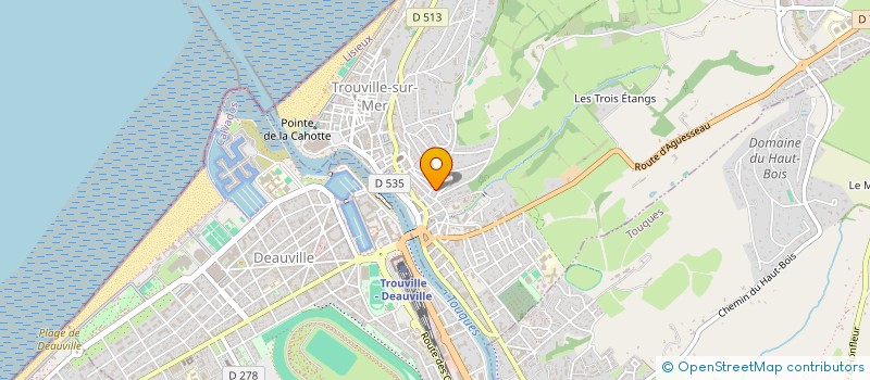 localisation de l'entreprise TROUVILLE  TROUVILLE-SUR-MER