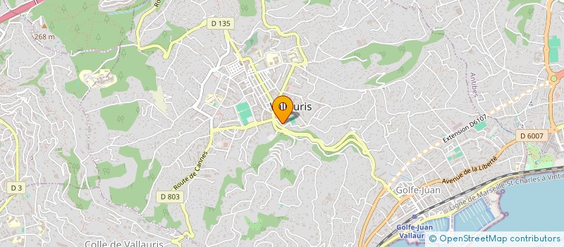localisation de l'entreprise TS DESIGN à VALLAURIS