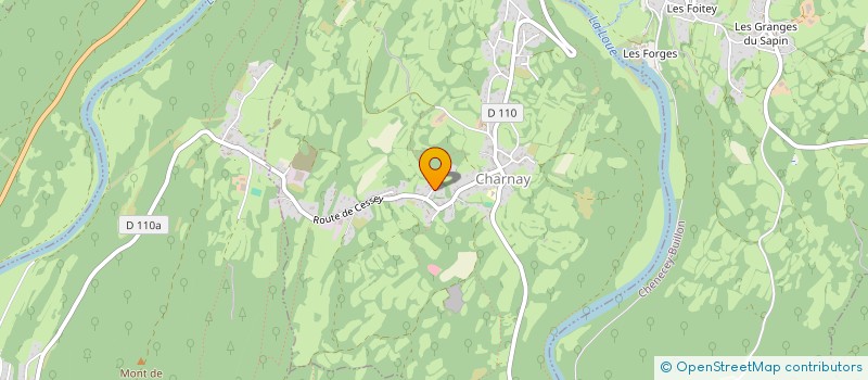 localisation de l'entreprise TSE CARREY  CHARNAY