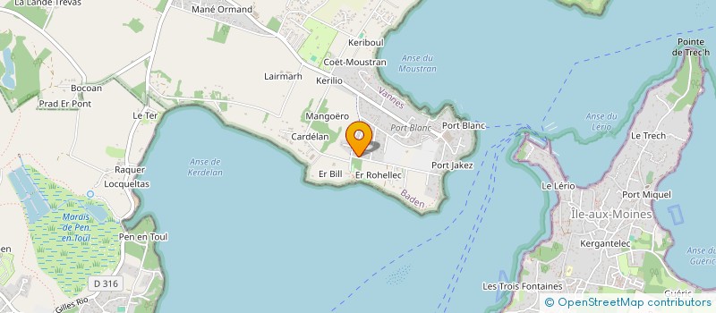 localisation de l'entreprise TSMP IMMOBILIERS  BADEN