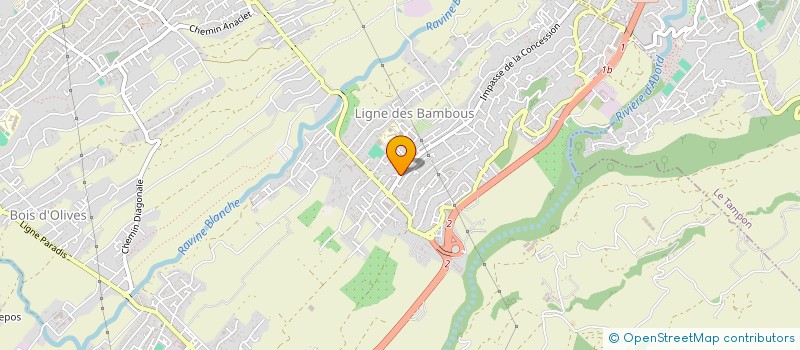 localisation de l'entreprise TTLS (TRAVAUX DE TERRASSEMENT ET LOCATION DU SUD)  SAINT-PIERRE