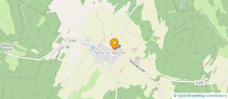 localisation de l'entreprise TTN SERVICE  MONT-SUR-MONNET