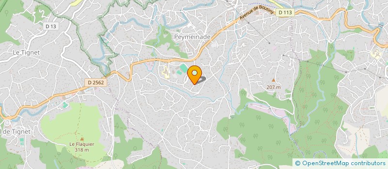 localisation de l'entreprise TURBO SERVICES  PEYMEINADE