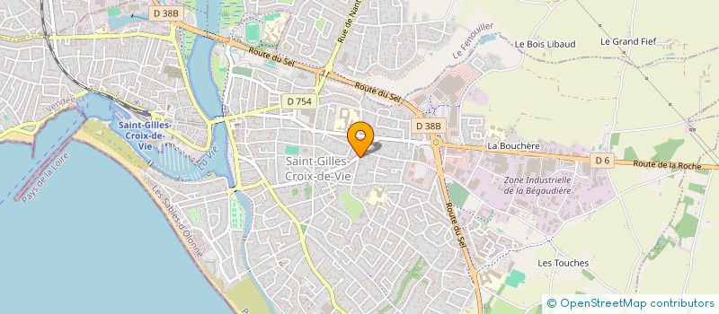 localisation de l'entreprise TVEMG INVEST  SAINT-GILLES-CROIX-DE-VIE