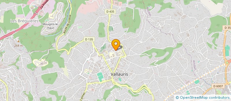 localisation de l'entreprise TWAIN CAPITAL  VALLAURIS