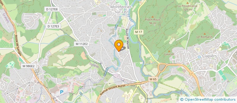 localisation de l'entreprise TWINS  MONTFERRIER-SUR-LEZ