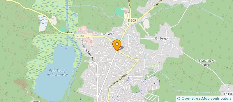 localisation de l'entreprise TWO4NINE  BISCARROSSE