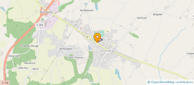 localisation de l'entreprise TY LOUP  PLUMELIAU-BIEUZY