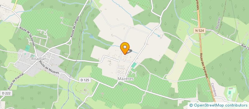 localisation de l'entreprise TYNET  MAZERES