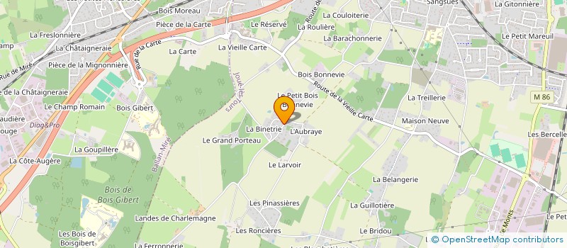 localisation de l'entreprise TYRING MANAGEMENT  JOUE-LES-TOURS