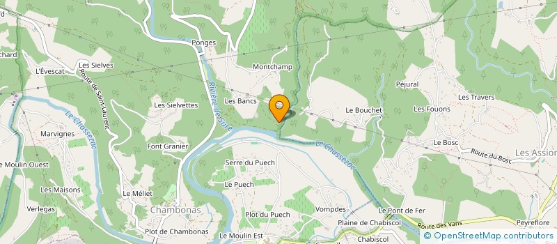 localisation de l'entreprise TYROZ  CHAMBONAS