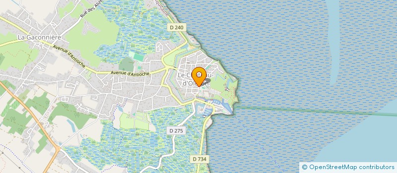 localisation de l'entreprise UDCA UNION DES COMMERCANTS ET ARTISANS DU CHATEAU D'OLERON  LE CHATEAU D OLERON