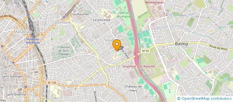 localisation de l'entreprise UDISCO IMMO  TOULOUSE