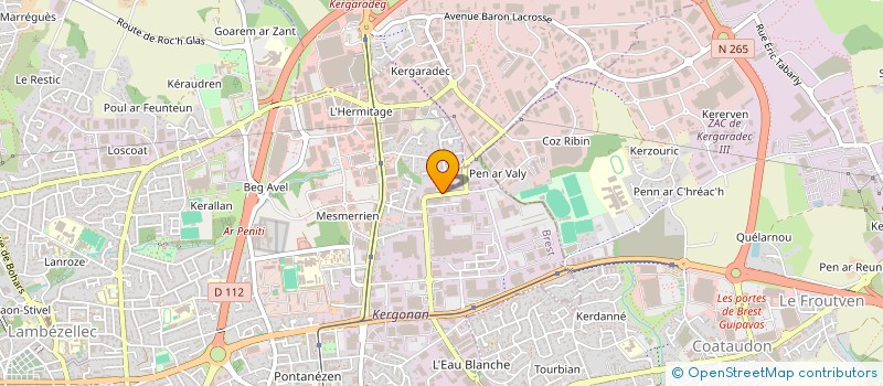 localisation de l'entreprise UDP PEINTURES ET SOLS à BREST