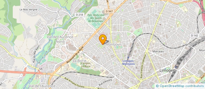 localisation de l'entreprise UFFI RES LES PALMIERS à LIMOGES