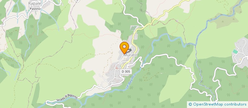 localisation de l'entreprise UGOLINI SPORT CONSULTING à MURATO