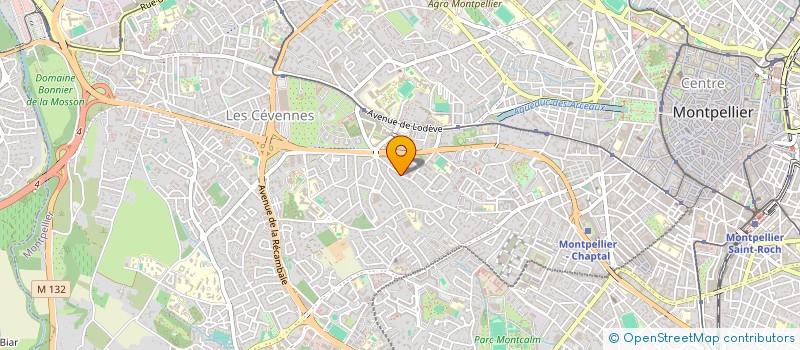 localisation de l'entreprise UN CHEMIN QUI CHATOUILLE à MONTPELLIER
