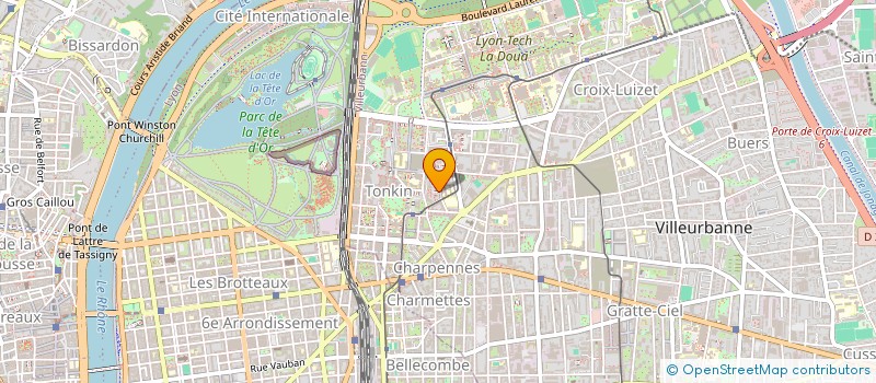 localisation de l'entreprise UN ESPOIR POUR NEO ET LES AUTRES  VILLEURBANNE