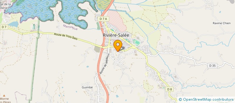 localisation de l'entreprise UNION DEPART CONF SYNDIC FAMILL MARTINQ  RIVIERE-SALEE