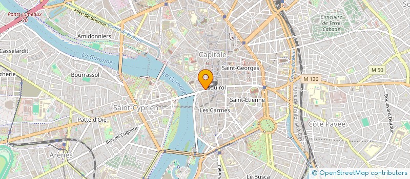 localisation de l'entreprise UNION DES ACADEMIES ET SOCIETES SAVANTES  TOULOUSE