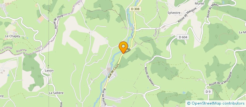 localisation de l'entreprise UNION DES CHASSEURS ET CULTIVATEURS DE LA CHAPELLE DE MARDORE  THIZY-LES-BOURGS