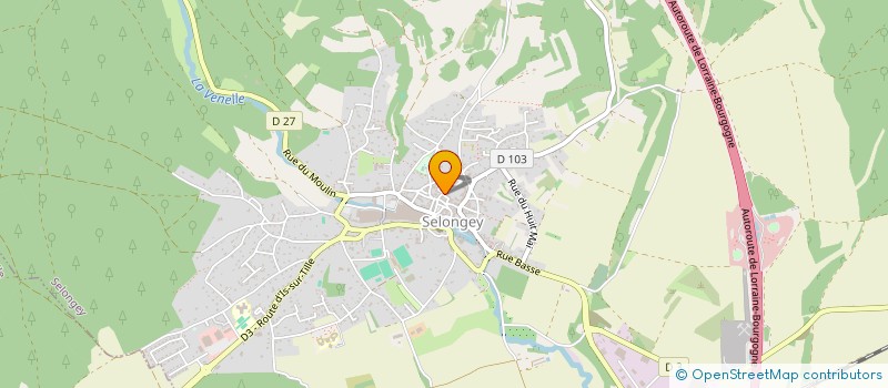 localisation de l'entreprise UNION DIJONNAISE DES FERVENTS PECHEURS 21  SELONGEY