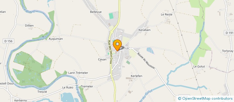 localisation de l'entreprise UNION NATIONALE DES COMBATTANTS -  SECTION DE NEULLIAC  NEULLIAC