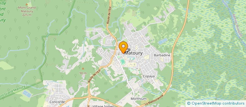 localisation de l'entreprise UNION REGIONALE DES PROFESSIONNELS DE SANTE ORTHOPHONISTES DE GUYANE URPS  MATOURY