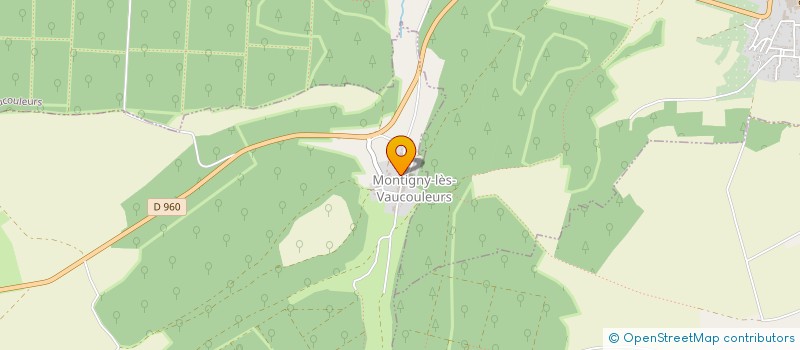 localisation de l'entreprise UNION REGIONALE REMPART GRAND EST à MONTIGNY-LES-VAUCOULEURS