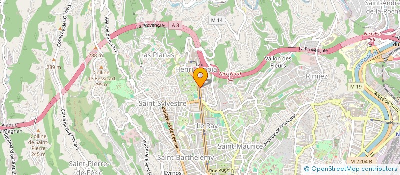 localisation de l'entreprise UNION SPORT ARTISAN COMMER RAY à NICE